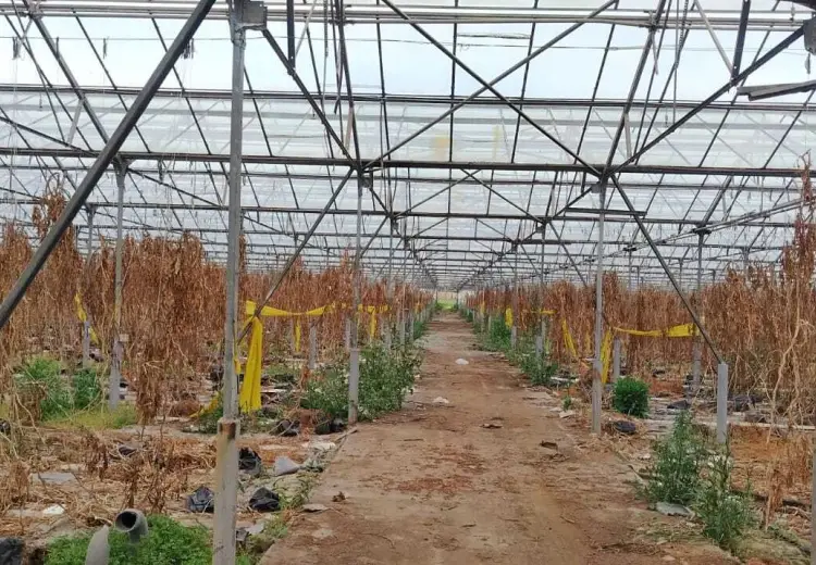 1000 m² Obyekt / Ofis Satılır, Hövsan qəs., Suraxanı, Bakı