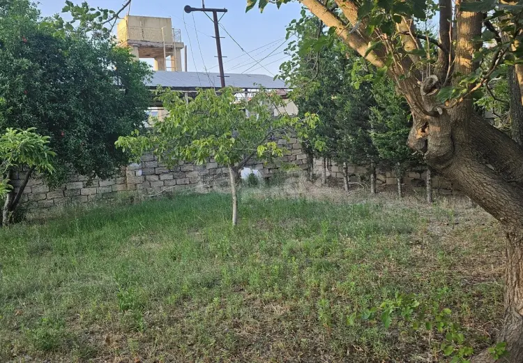 0 m² Obyekt / Ofis , Bakı