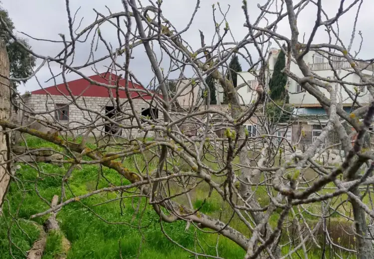 9.5 sot Torpaq Satılır, Şüvəlan, Xəzər, Bakı