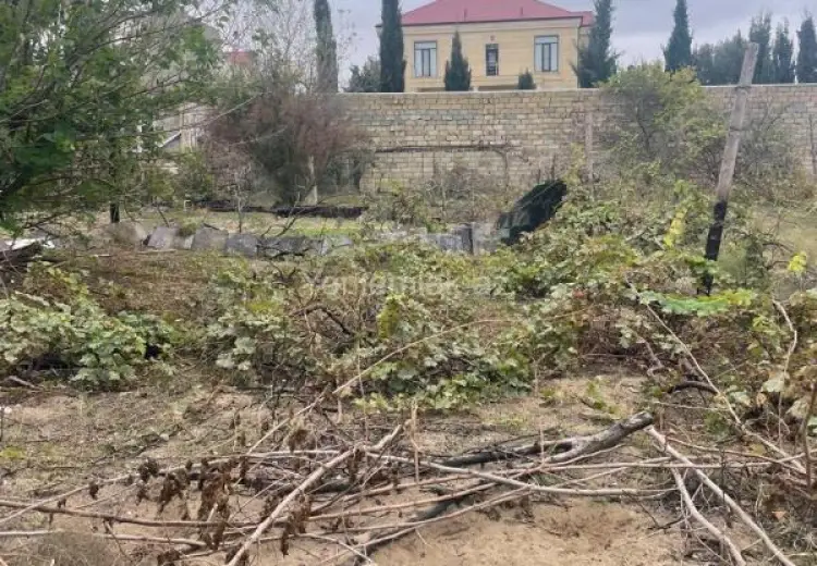 10 sot Torpaq Satılır, Novxanı, Abşeron