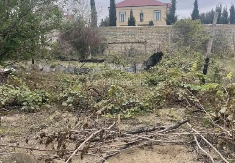 10 sot Torpaq Satılır, Novxanı, Abşeron