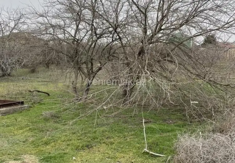 20 sot Torpaq Satılır, Qurd dərəsi, Sumqayıt