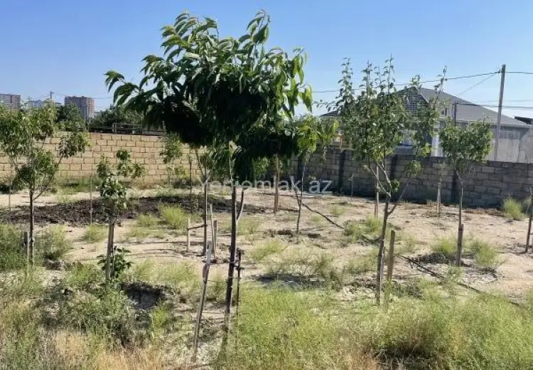 10 sot Torpaq Satılır, Qurd dərəsi, Sumqayıt