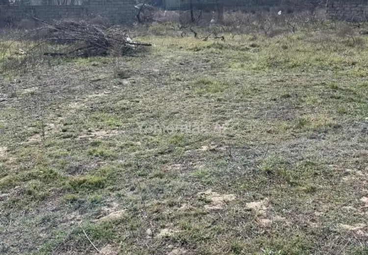 6 sot Torpaq Satılır, Qurd dərəsi, Sumqayıt