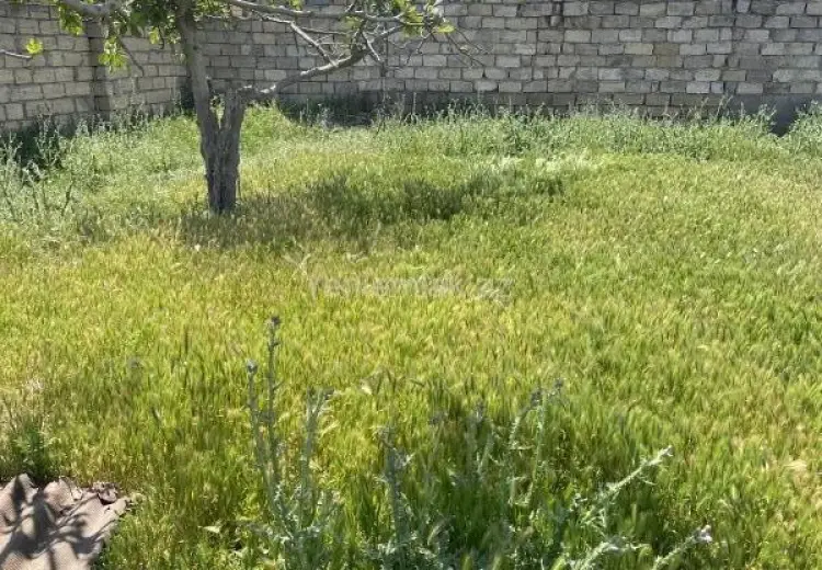 9 sot Torpaq Satılır, Novxanı, Abşeron