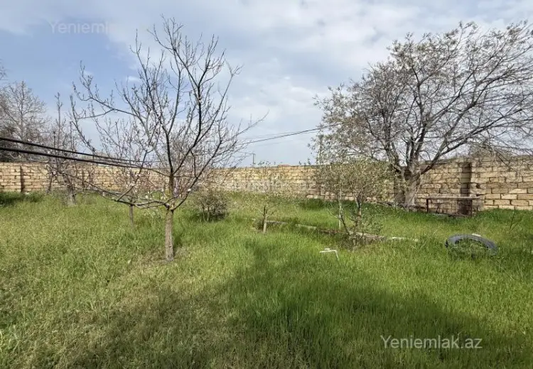 7 sot Torpaq Satılır, Novxanı, Abşeron