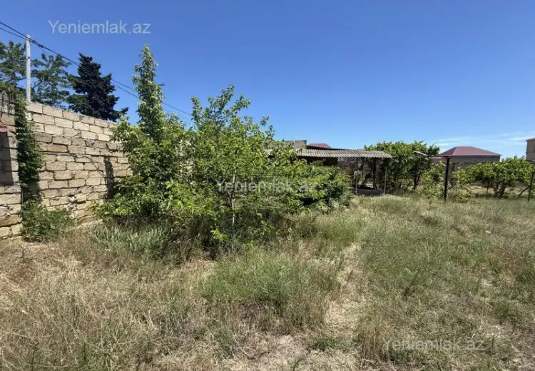12 sot Torpaq Satılır, Saray, Abşeron