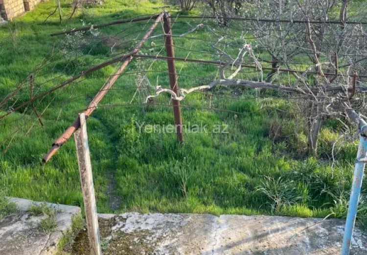 12 sot Torpaq Satılır, Novxanı, Abşeron