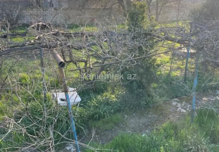 12 sot Torpaq Satılır, Novxanı, Abşeron