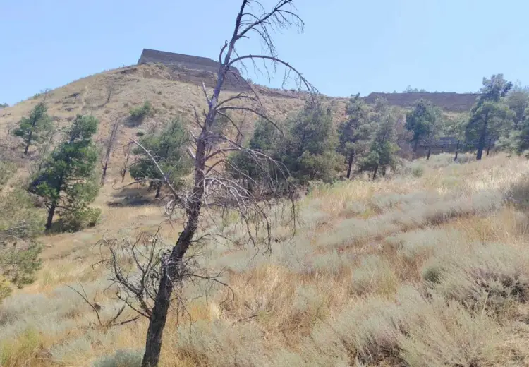 6 sot Torpaq Satılır, Badamdar qəs., Səbail, Bakı