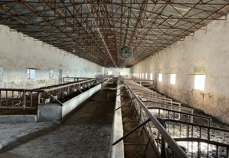 1700 m² Obyekt / Ofis Satılır, Şirvan