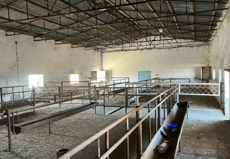1700 m² Obyekt / Ofis Satılır, Şirvan