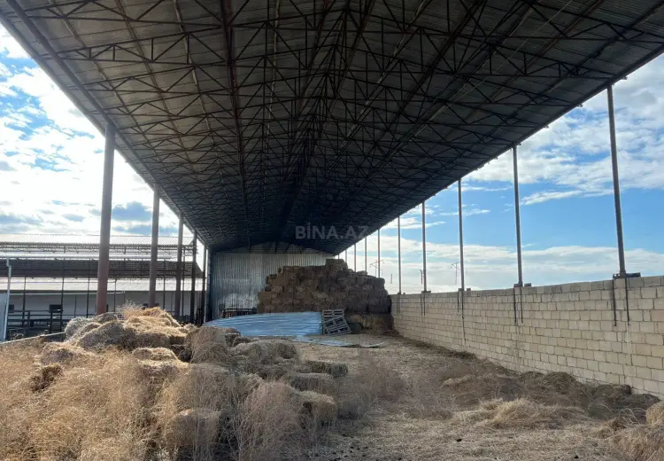1700 m² Obyekt / Ofis Satılır, Şirvan
