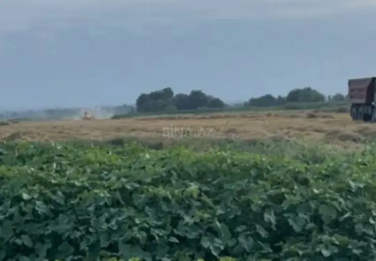 1300 sot Torpaq Satılır, Xaçmaz