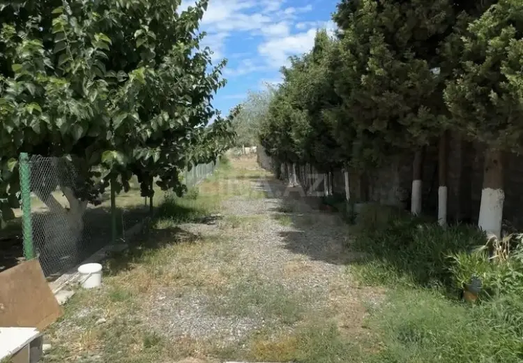 14 sot Torpaq Satılır, Şüvəlan, Xəzər, Bakı