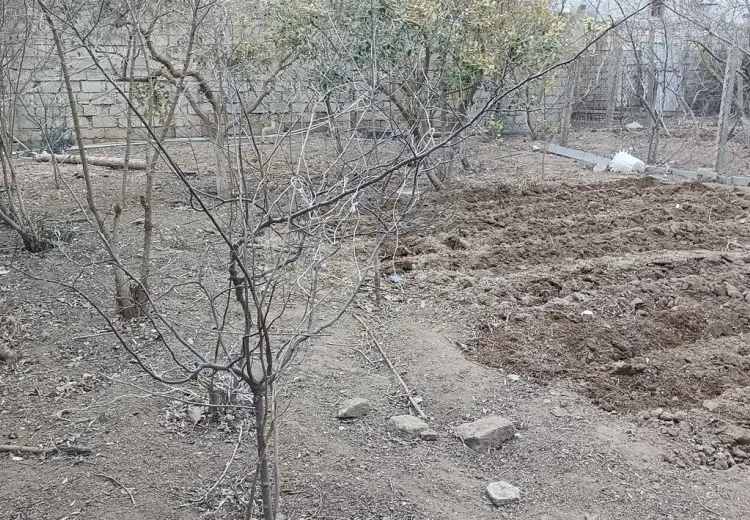 0 m² Obyekt / Ofis , Qala, Xəzər, Bakı