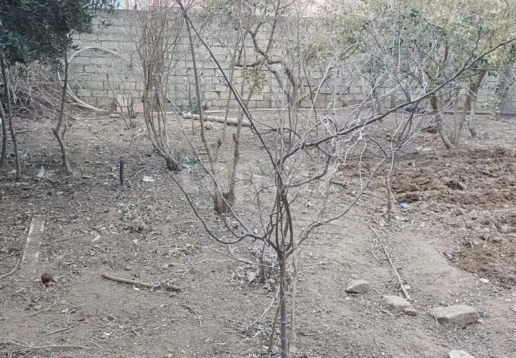 0 m² Obyekt / Ofis , Qala, Xəzər, Bakı