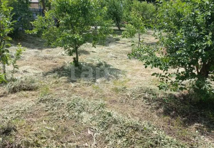 3 otaqlı mənzil , Şamaxı