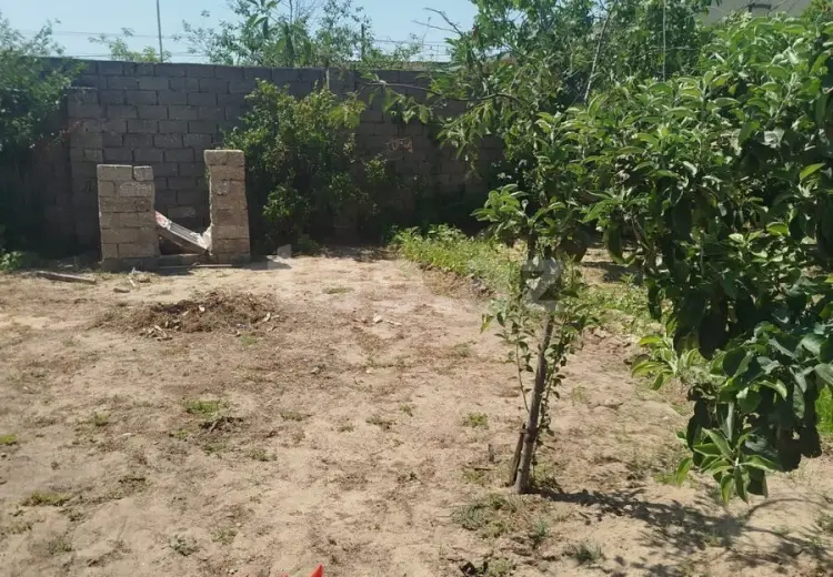 0 m² Obyekt / Ofis , Məştağa qəs., Sabunçu, Bakı