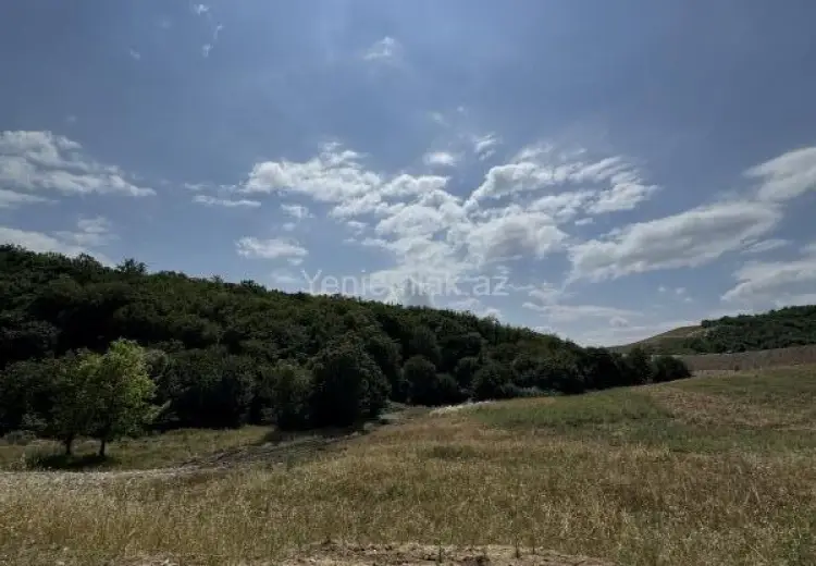 152 sot Torpaq Satılır, İsmayıllı