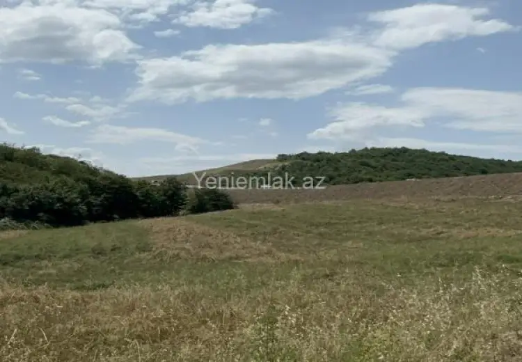 152 sot Torpaq Satılır, İsmayıllı