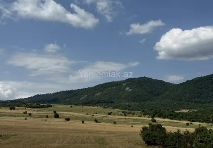 152 sot Torpaq Satılır, İsmayıllı