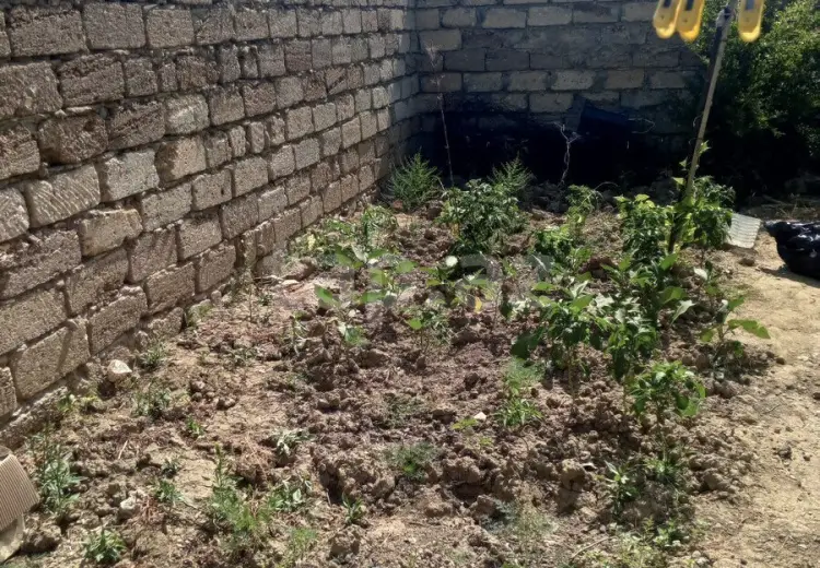 3 otaqlı mənzil , Savalan qəs., Sabunçu, Bakı