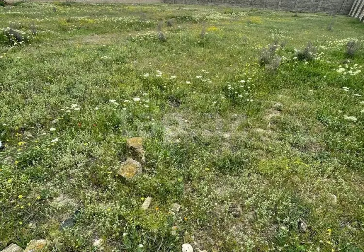0 m² Obyekt / Ofis , Mehdiabad, Abşeron