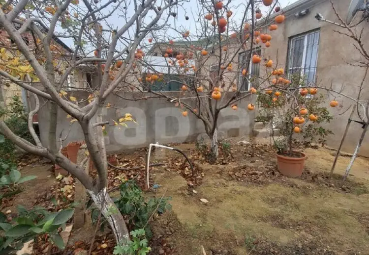 3 otaqlı mənzil , Sumqayıt