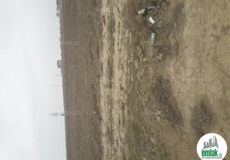 26.2 sot Torpaq Satılır, Saray, Abşeron