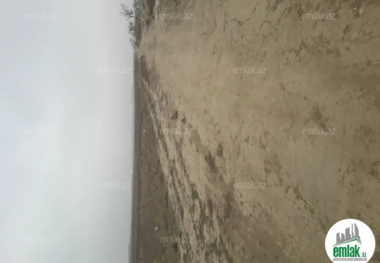 26.2 sot Torpaq Satılır, Saray, Abşeron