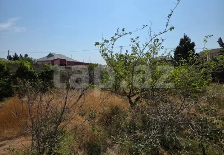 0 m² Obyekt / Ofis , Saray, Abşeron