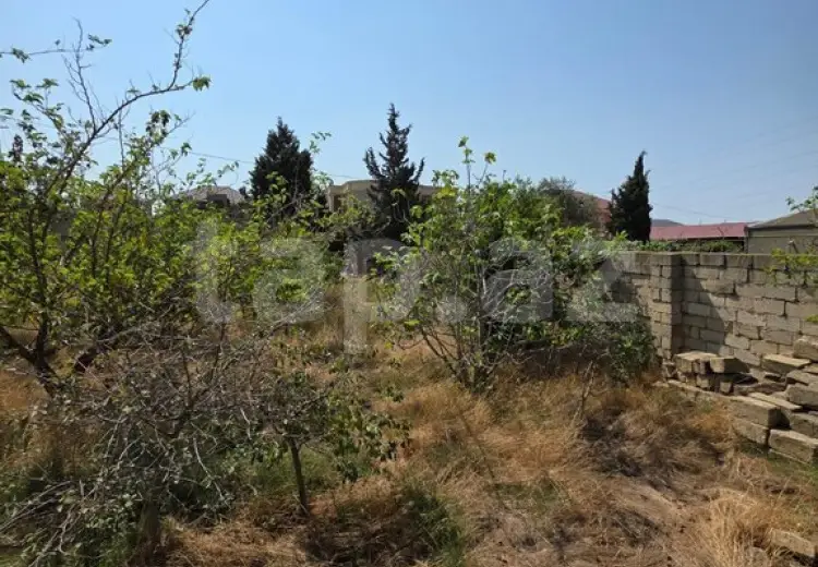0 m² Obyekt / Ofis , Saray, Abşeron