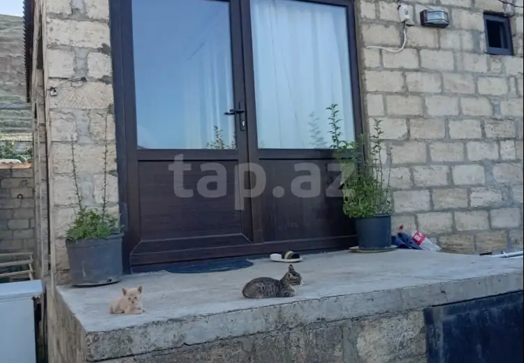 3 otaqlı mənzil , Siyəzən