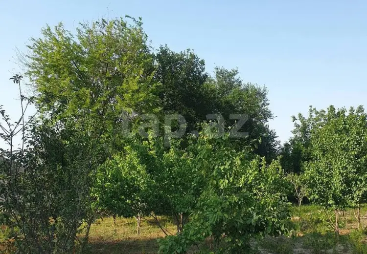 0 m² Obyekt / Ofis , Bərdə