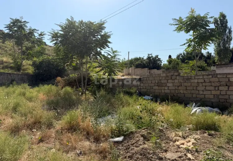 0 m² Obyekt / Ofis , Şabran