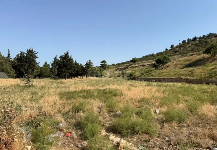 0 m² Obyekt / Ofis , Şabran