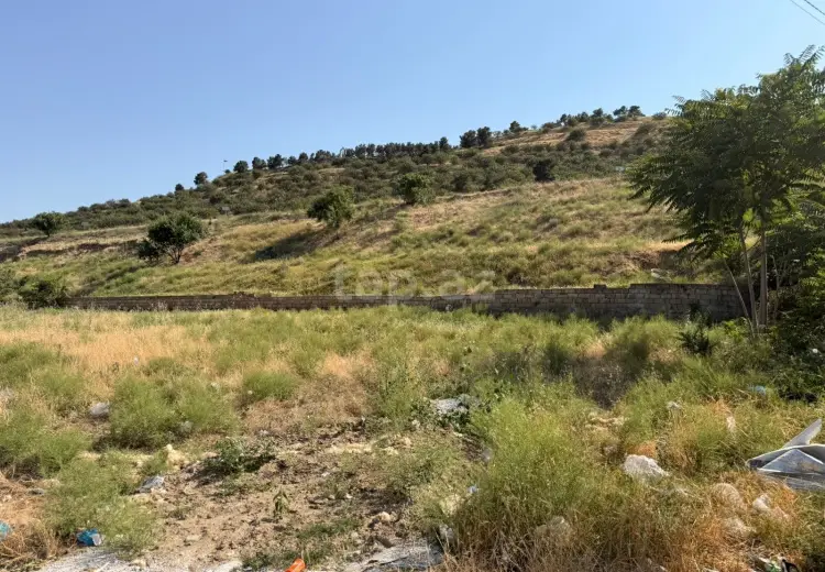 0 m² Obyekt / Ofis , Şabran