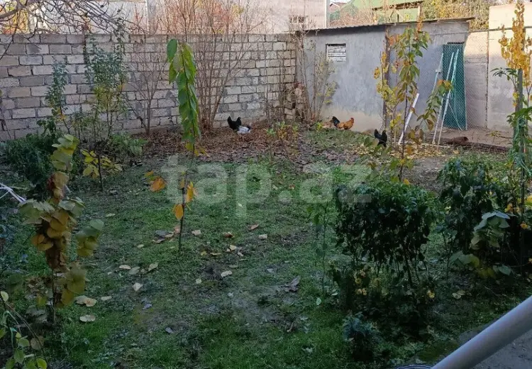 3 otaqlı mənzil , Mingəçevir