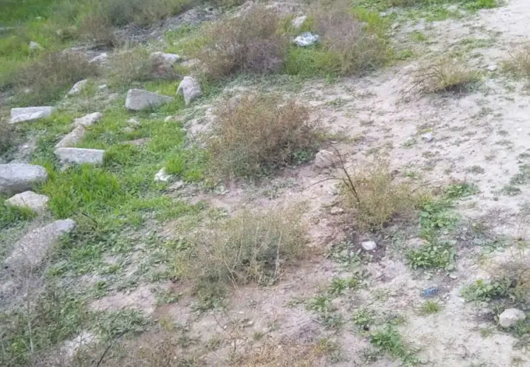 1.9 sot Torpaq Satılır, Badamdar qəs., Səbail, Bakı