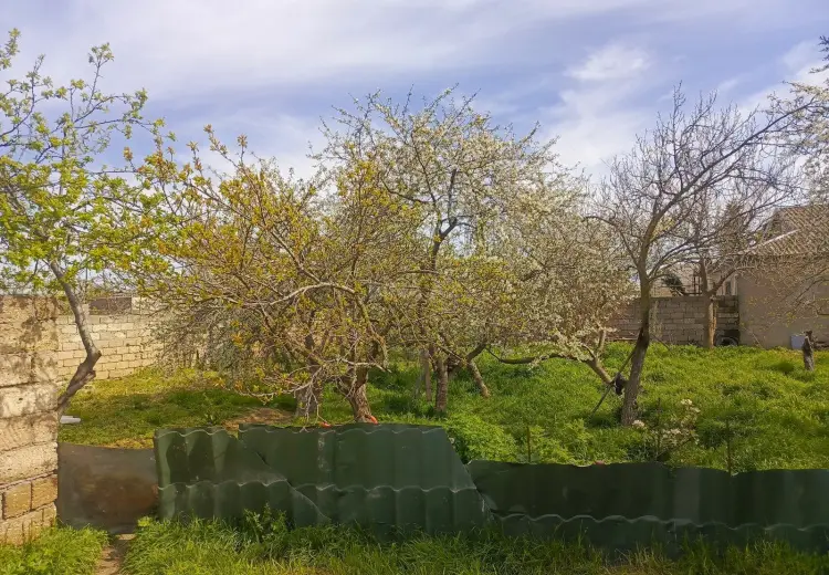 2 sot Torpaq Satılır, Bülbülə qəs., Suraxanı, Bakı