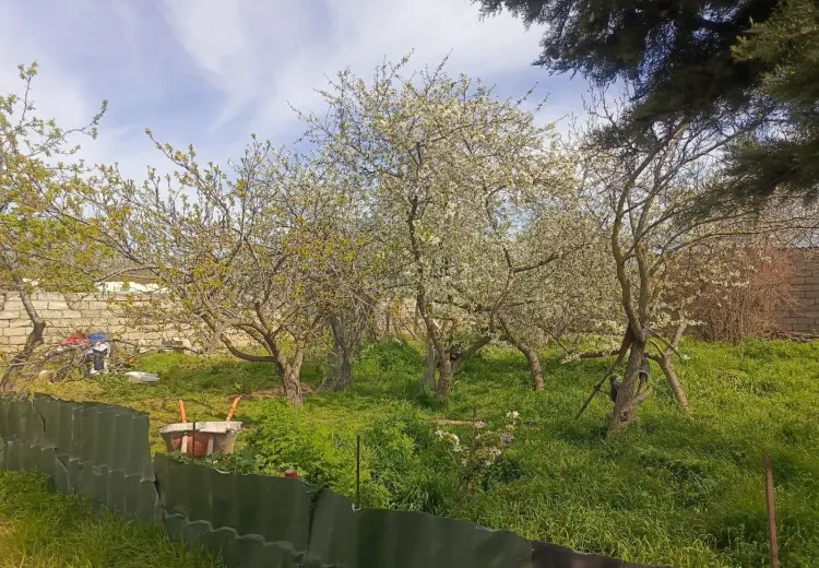 2 sot Torpaq Satılır, Bülbülə qəs., Suraxanı, Bakı