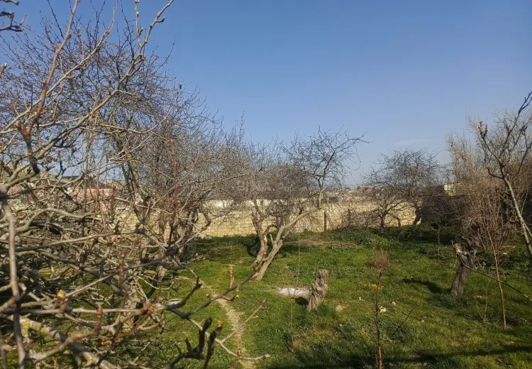 2 sot Torpaq Satılır, Bülbülə qəs., Suraxanı, Bakı