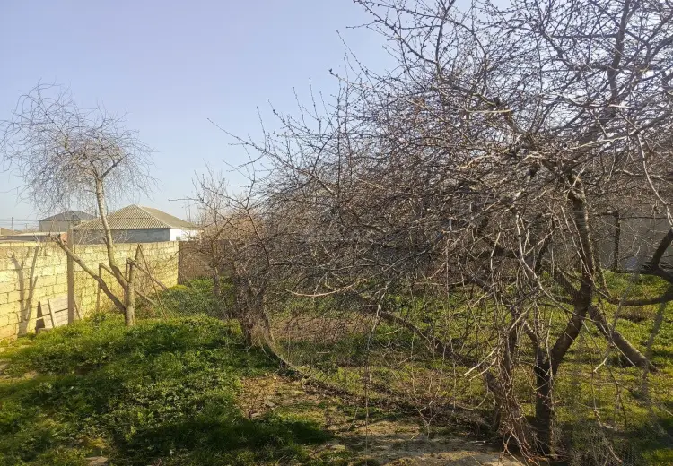 2 sot Torpaq Satılır, Bülbülə qəs., Suraxanı, Bakı