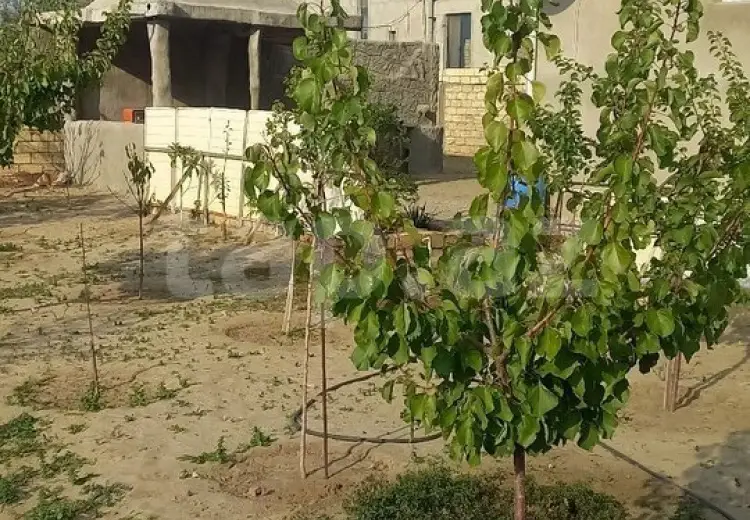3 otaqlı mənzil , Sumqayıt