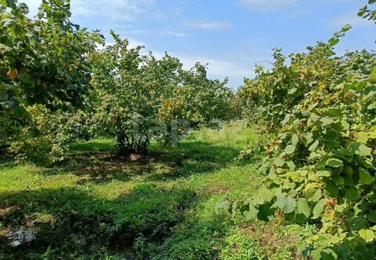 0 m² Obyekt / Ofis , Nabran