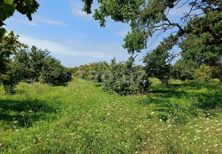 0 m² Obyekt / Ofis , Nabran