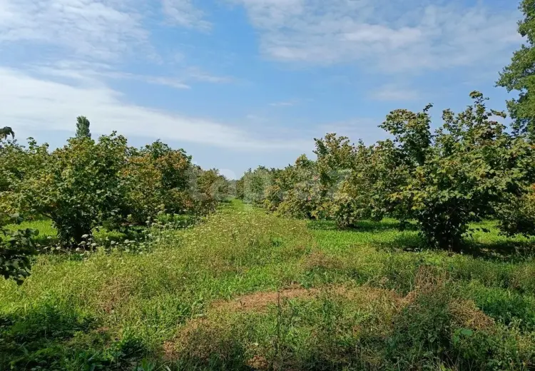 0 m² Obyekt / Ofis , Nabran