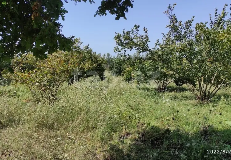 0 m² Obyekt / Ofis , Nabran