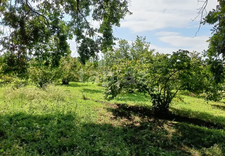 0 m² Obyekt / Ofis , Nabran
